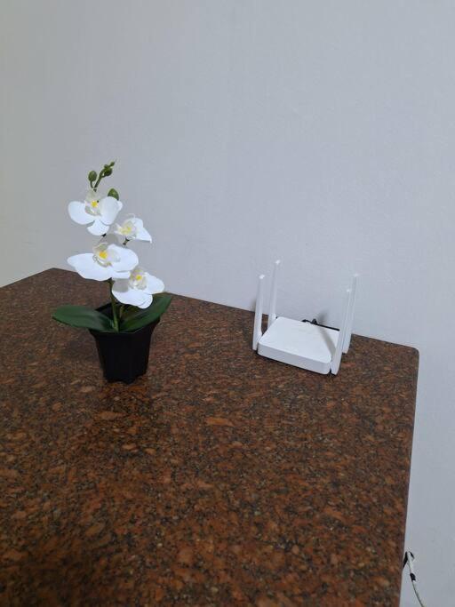 Imovel Colonial Apartamento Salvador